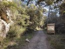 Combe de Vidauque